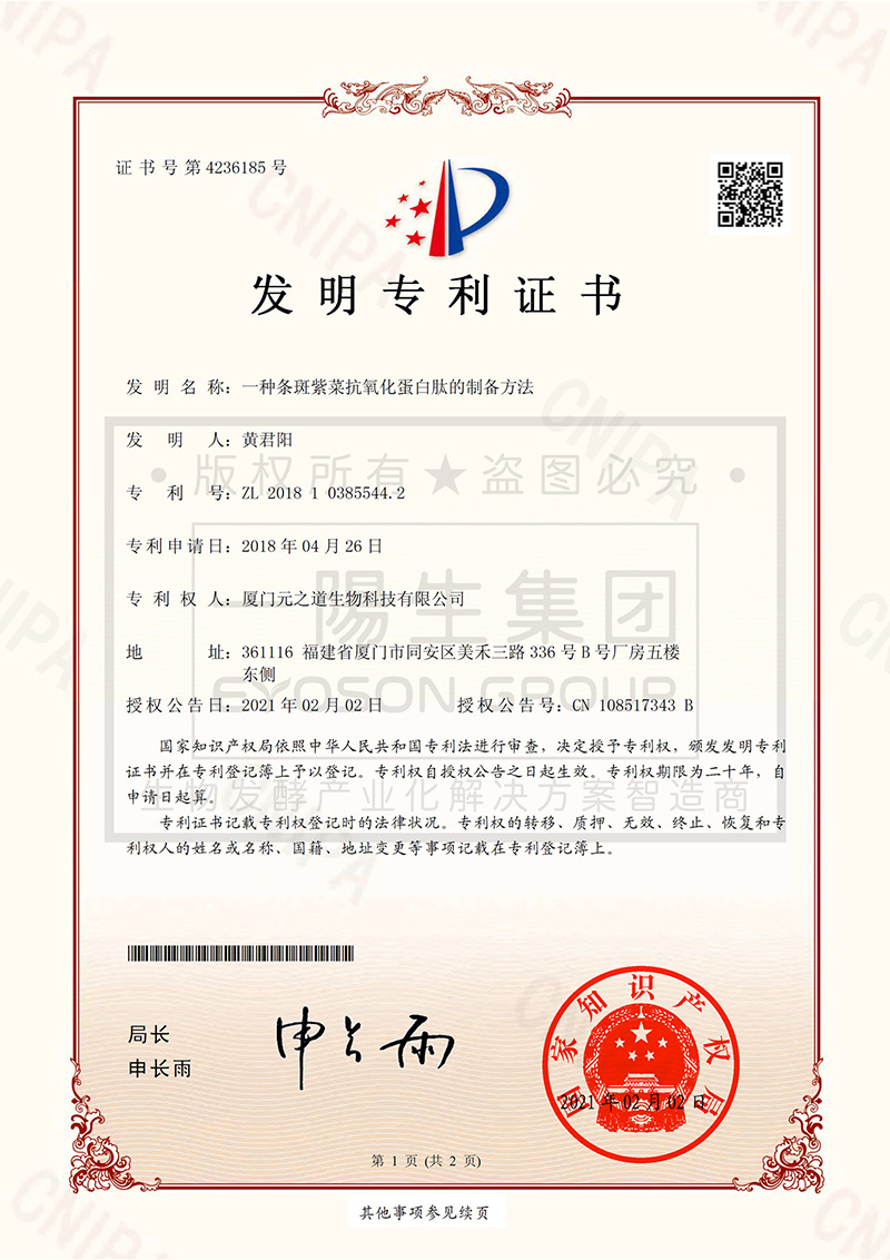 一种条斑紫菜抗氧化蛋白肽的制备方法