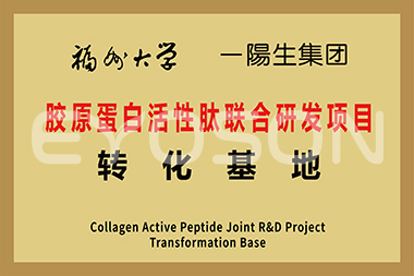 福州大学胶原蛋白活性肽联合研发项目转化基地